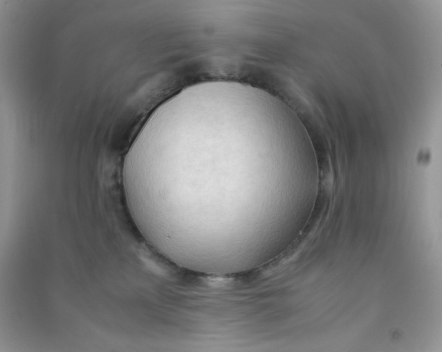 X0000090620233200708141419