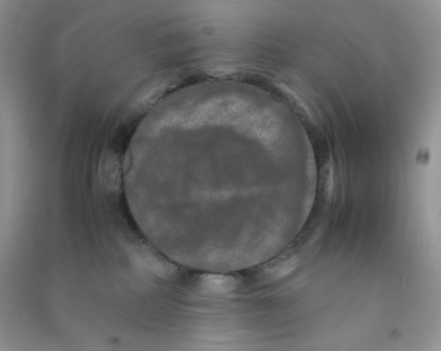 X0000090620234200708141419