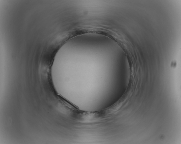 X0000090620235200708141419