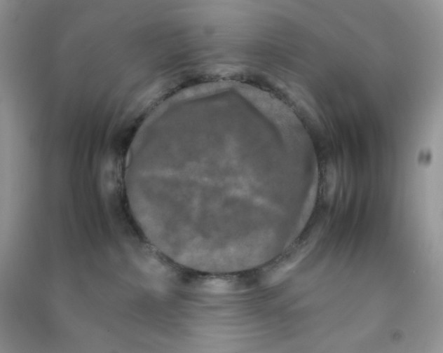 X0000090620236200708141419