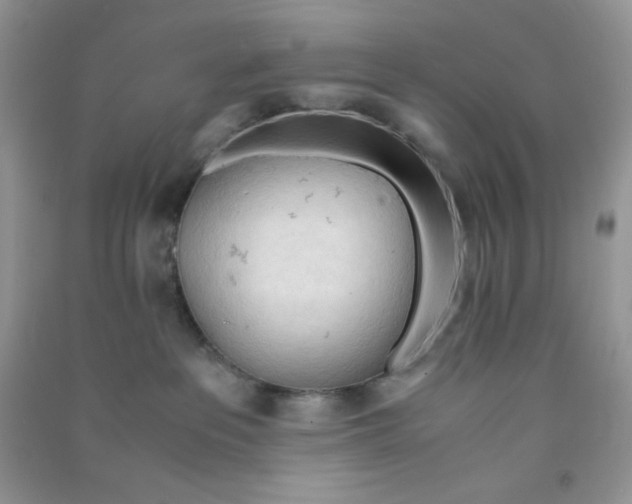 X0000090620237200708141419