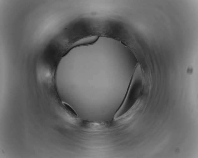 X0000090620239200708141419