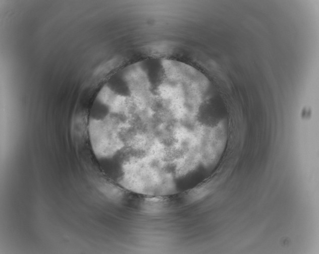 X0000090620240200708141419