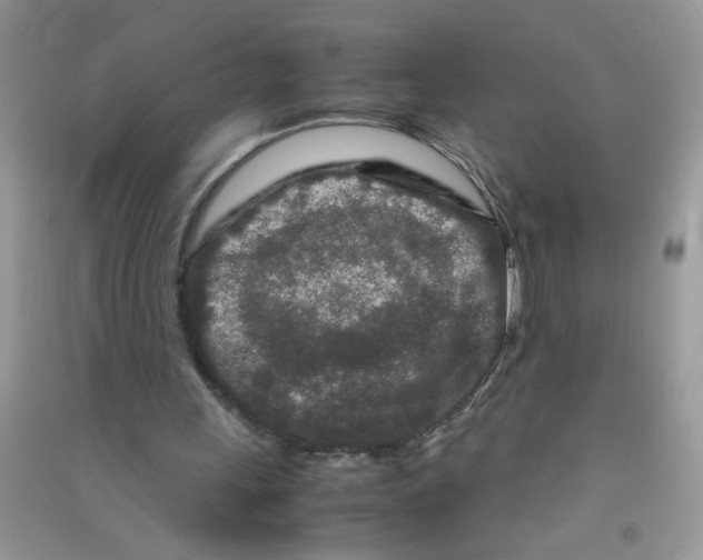 X0000090620243200708141419