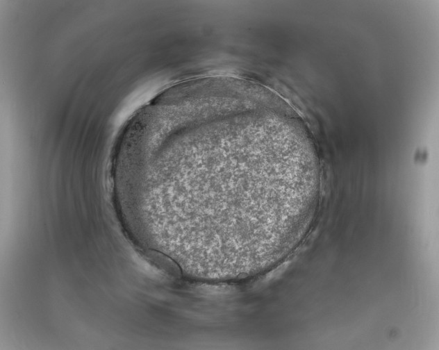 X0000090620245200708141419