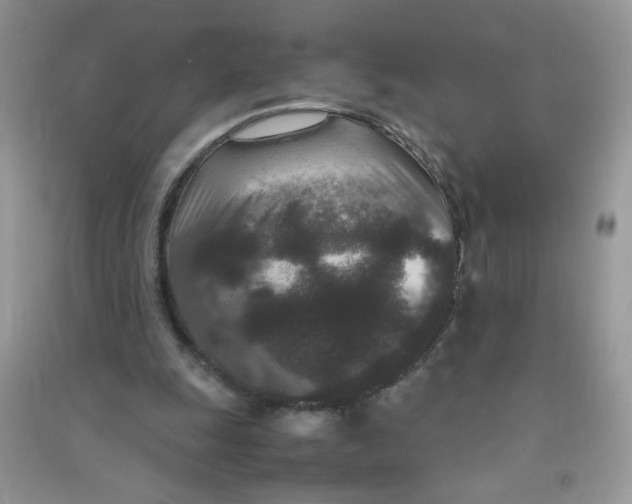 X0000090620247200708141419