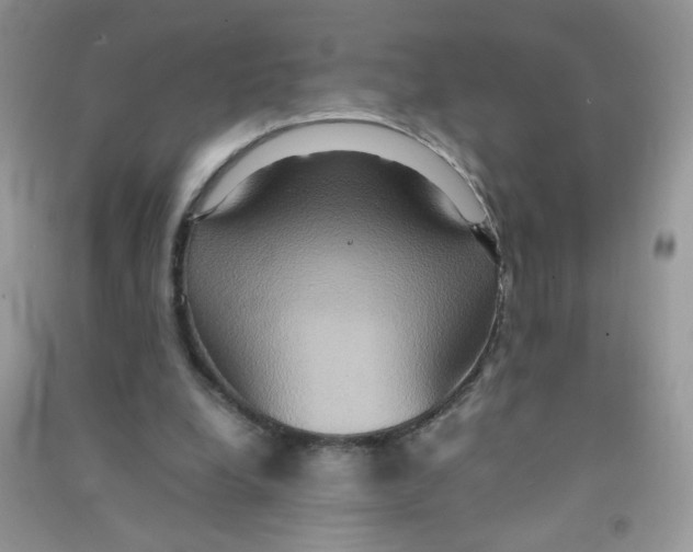 X0000090620248200708141419