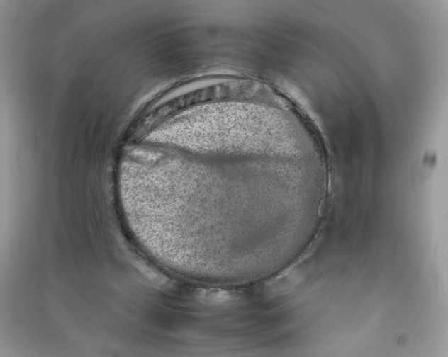 X0000090620249200708141419