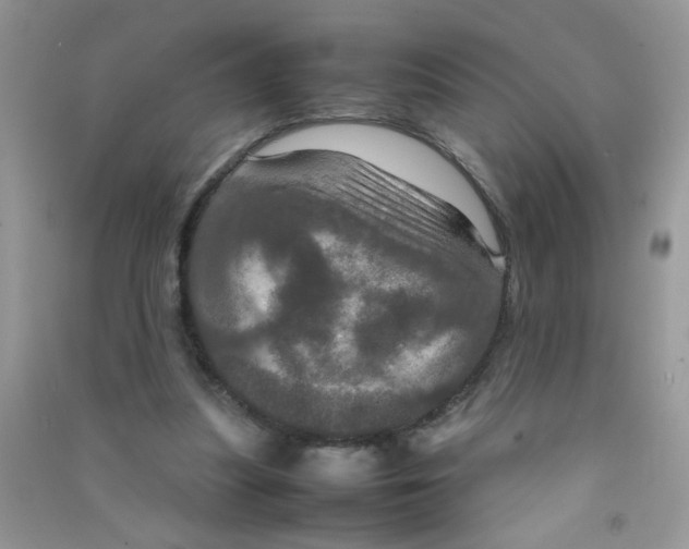 X0000090620251200708141419