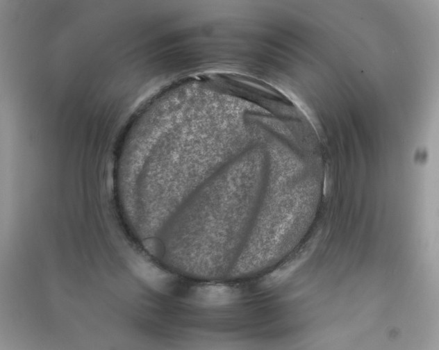 X0000090620253200708141419