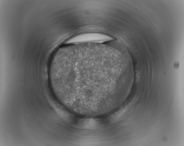 X0000090620254200708141419