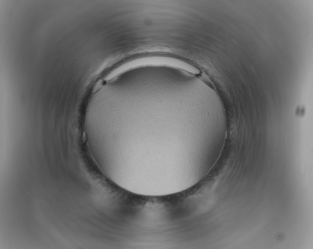 X0000090620256200708141419