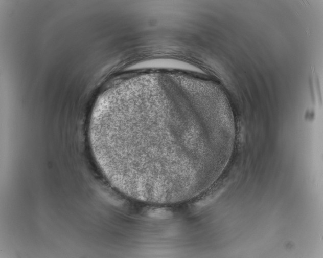 X0000090620258200708141419