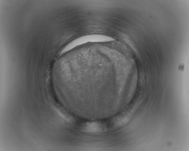 X0000090620259200708141419