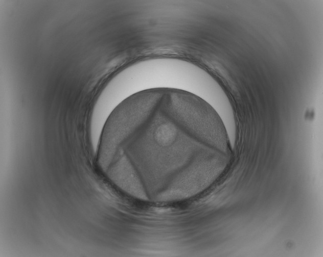 X0000090620260200708141419