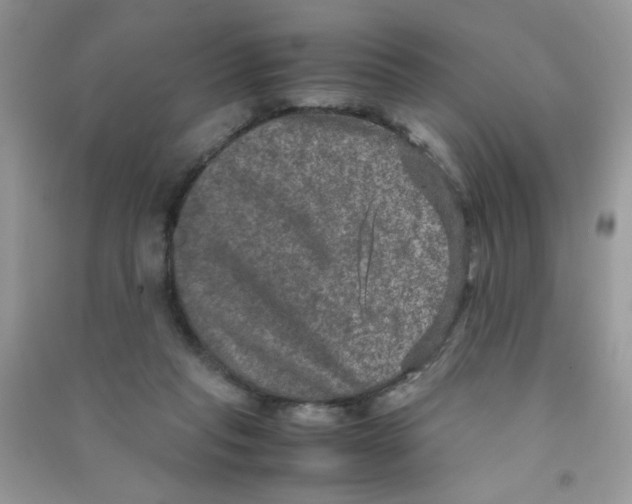 X0000090620261200708141419