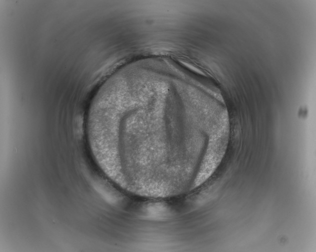 X0000090620262200708141419