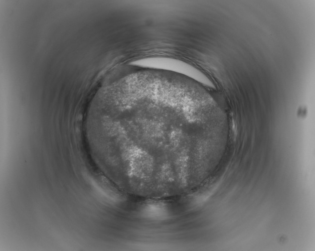 X0000090620263200708141419