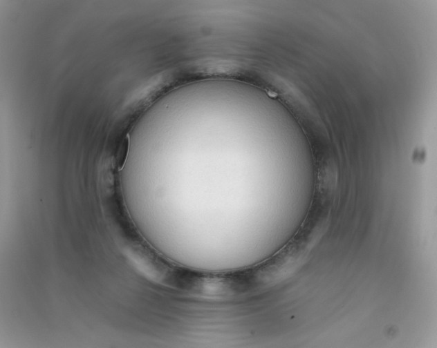 X0000090620264200708141419