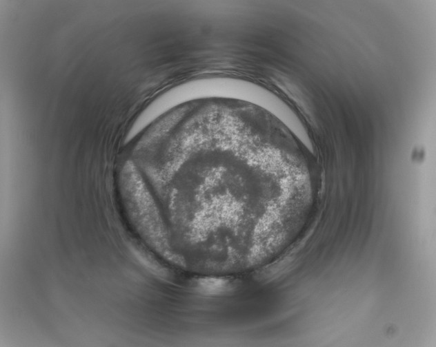 X0000090620265200708141419