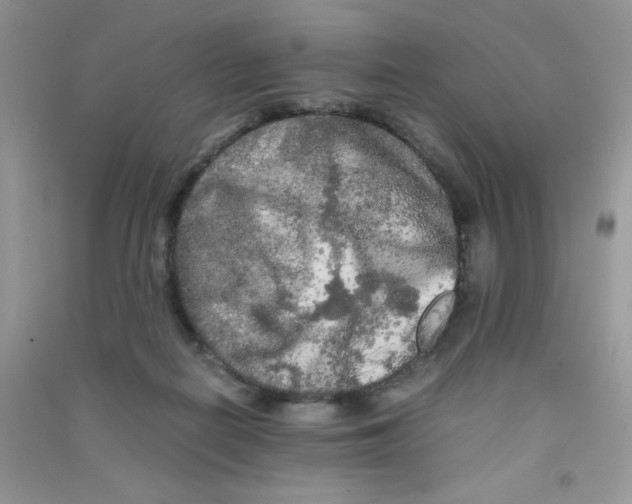 X0000090620266200708141419