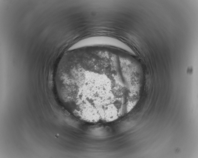 X0000090620267200708141419