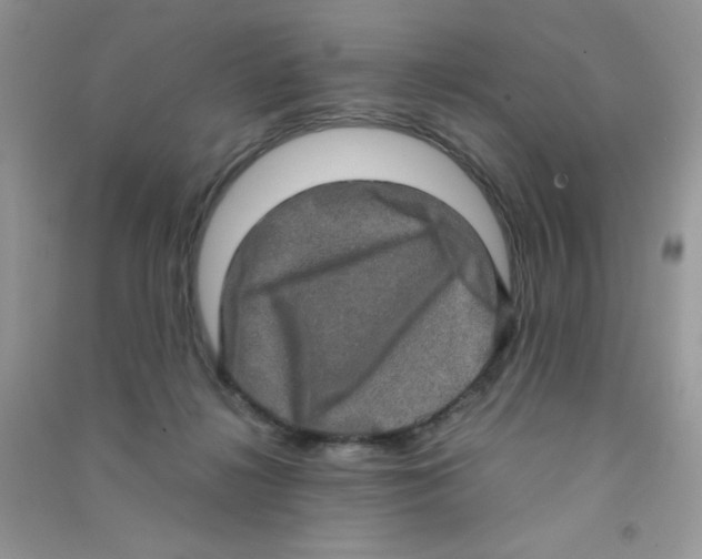 X0000090620268200708141419