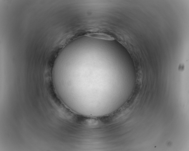 X0000090620272200708141419