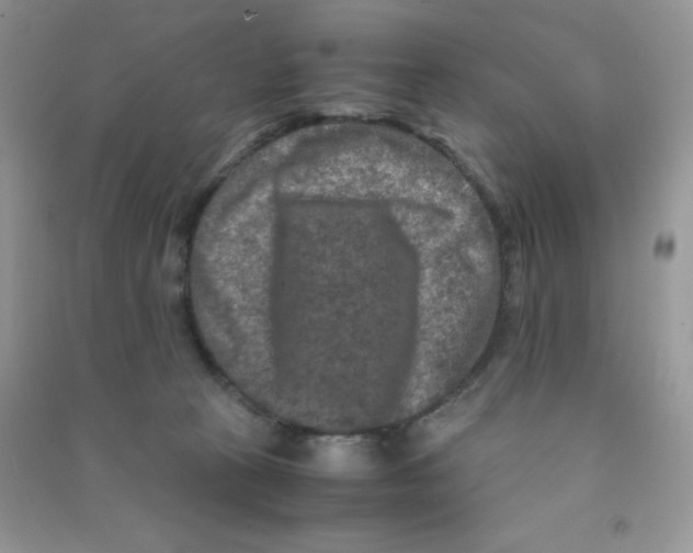 X0000090620273200708141419