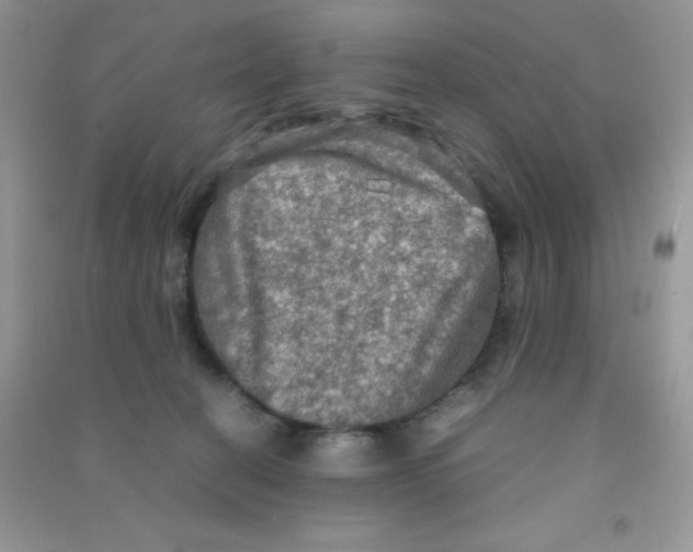 X0000090620274200708141419