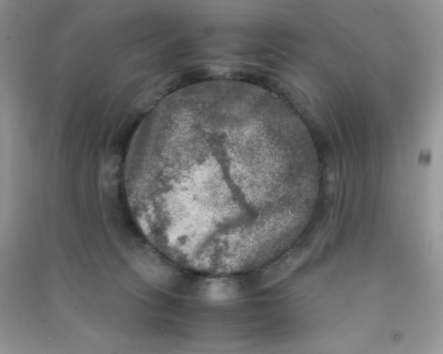 X0000090620275200708141419