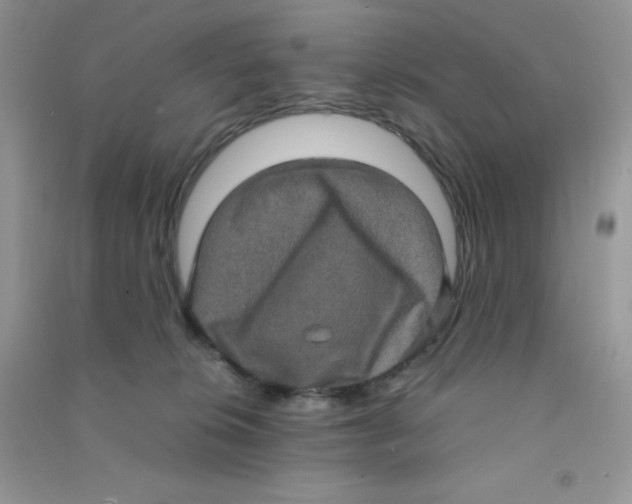 X0000090620276200708141419