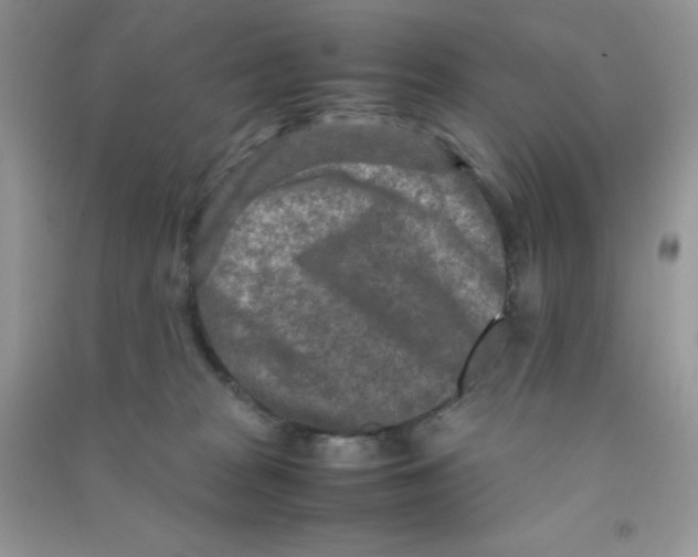 X0000090620277200708141419