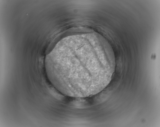 X0000090620278200708141419