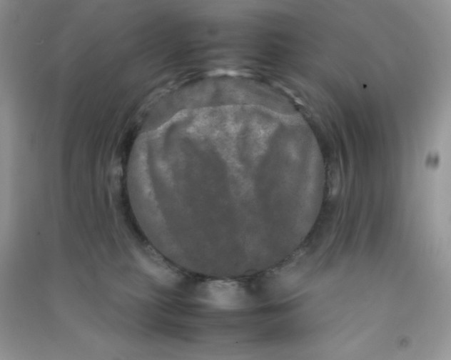 X0000090620279200708141419