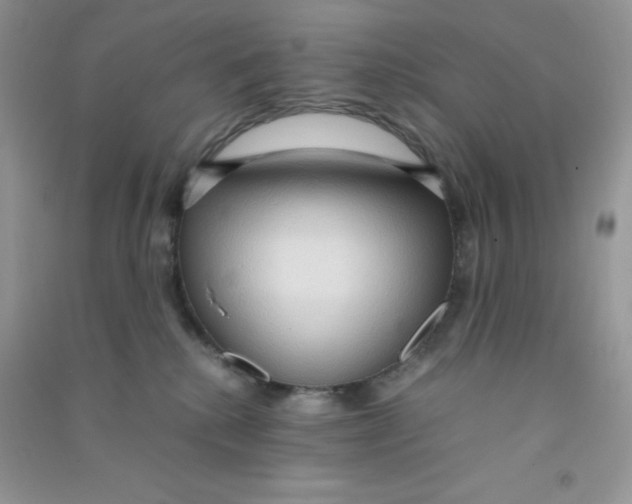 X0000090620280200708141419