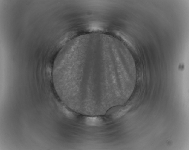 X0000090620281200708141419