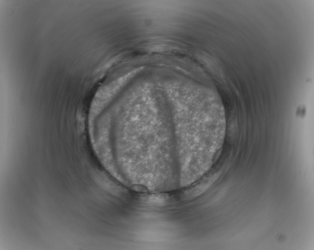 X0000090620282200708141419