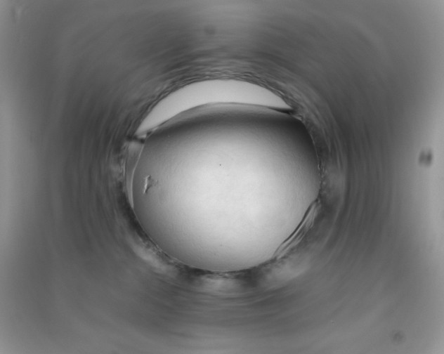 X0000090620284200708141419