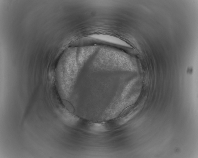 X0000090620285200708141419