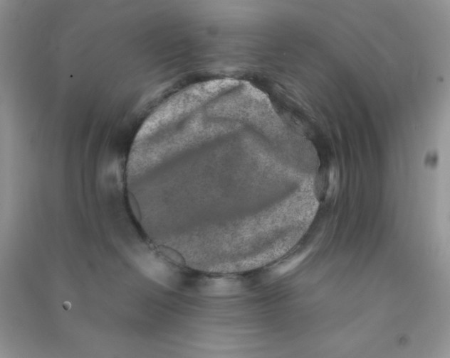 X0000090620286200708141419