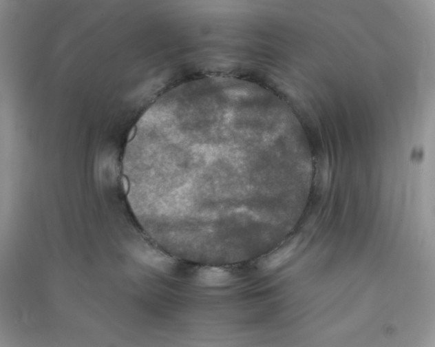 X0000090620287200708141419