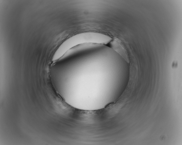 X0000090620288200708141419