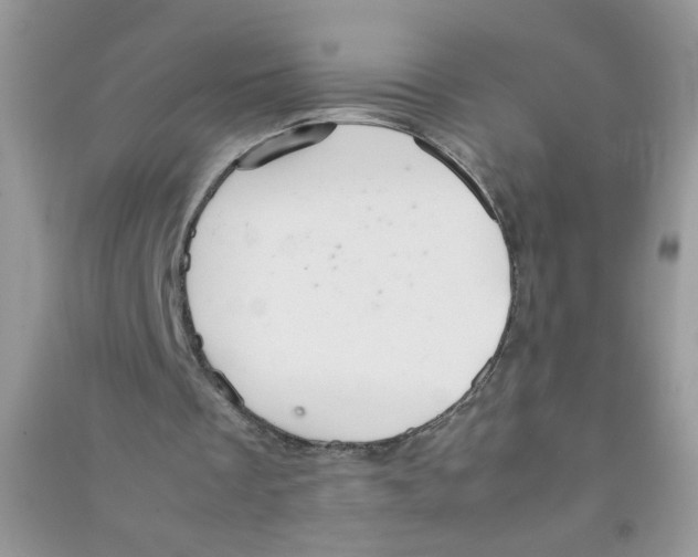 X0000090620289200708141419