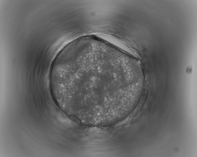 X0000090620290200708141419