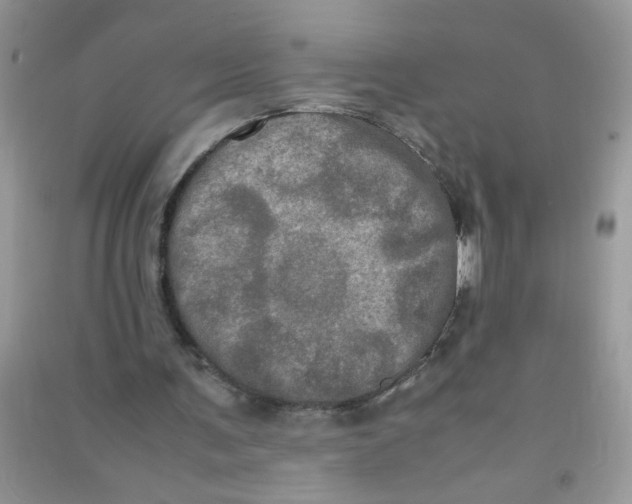 X0000090620291200708141419