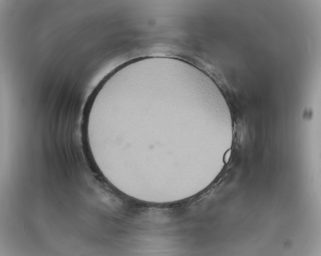 X0000090620292200708141419