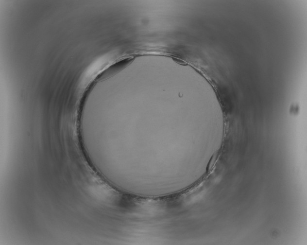 X0000090620293200708141419