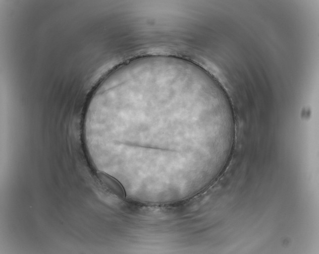 X0000090620297200708141419