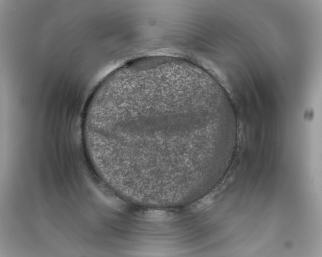 X0000090620298200708141419